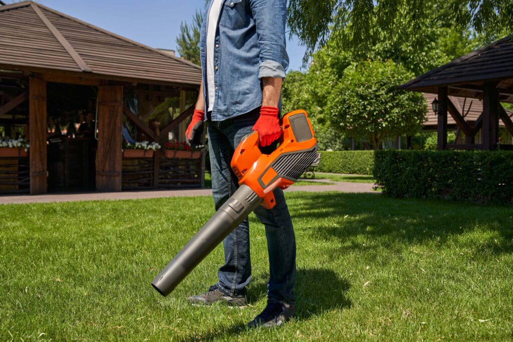 Cordless Blower - Quick Cleanup Solutions